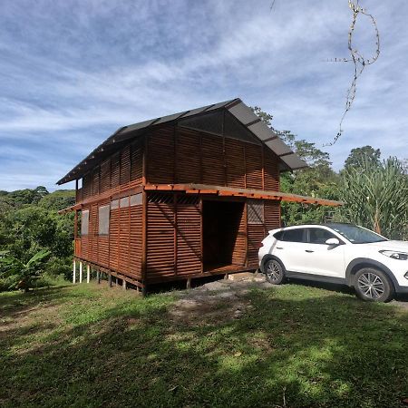 Eco Guest House - Sarapiqui 1 Luaran gambar