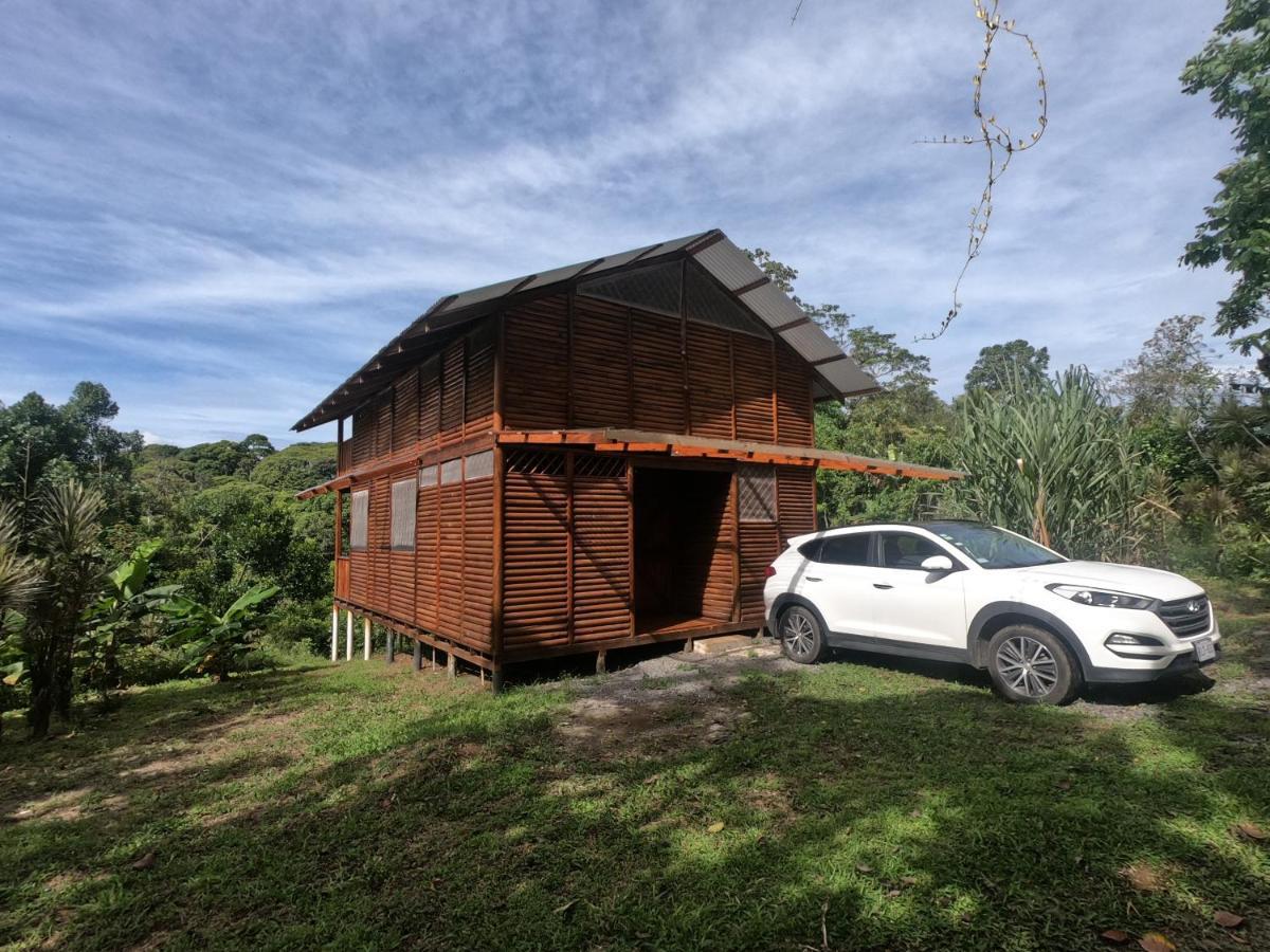 Eco Guest House - Sarapiqui 1 Luaran gambar