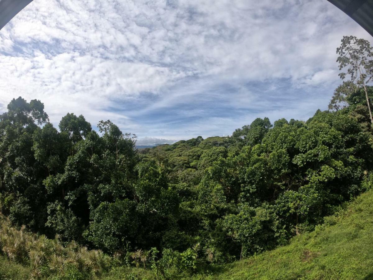 Eco Guest House - Sarapiqui 1 Luaran gambar